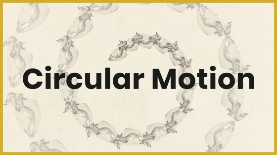Circular Motion After Effects Preset