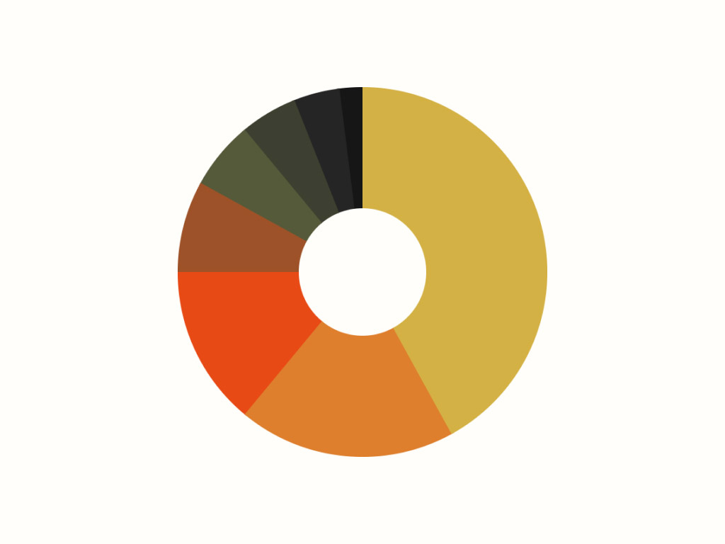 Arc Tool for After Effects – Vector Pie Chart Rig